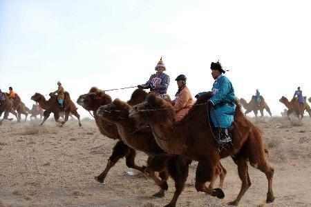 百里疆是什么意思