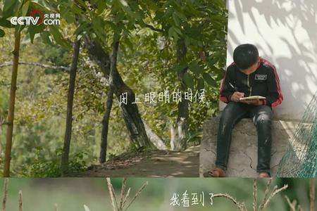 人生第一次观看顺序