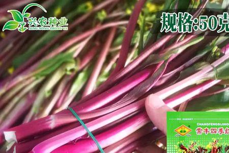 半斤红汉菜能种植多少亩