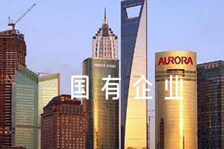 国有公司不包括