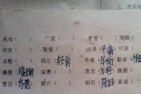 福运的近义词