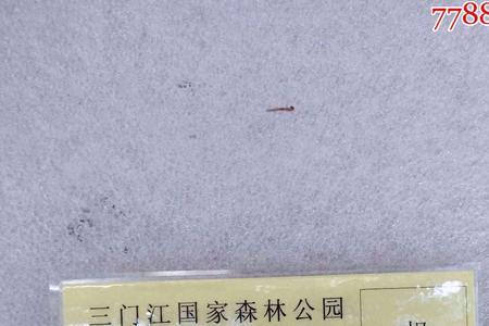 三门江国家森林公园游览路线