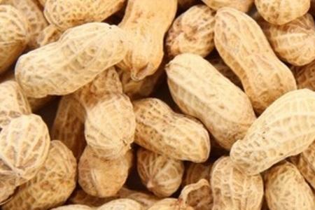 花生人是什么意思网络用语