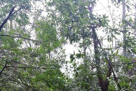 郴州苏仙岭几点不让上山