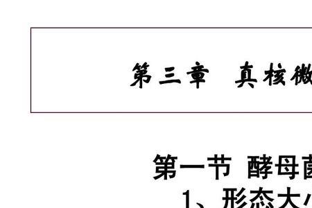 酵母会无限繁殖吗