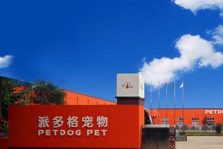 圣宠和派多格哪个靠谱