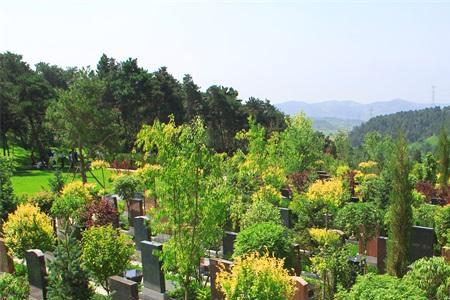 国家规定可以提前预定墓地吗
