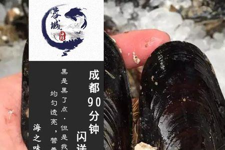 青口贝和带子区别