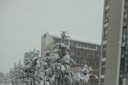 济宁市第一中学的历史沿革