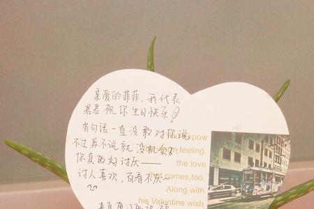 写给女朋友的生日祝福冬天