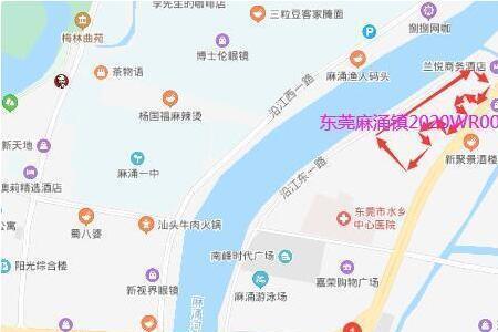 东莞麻涌华阳工业区有哪些厂