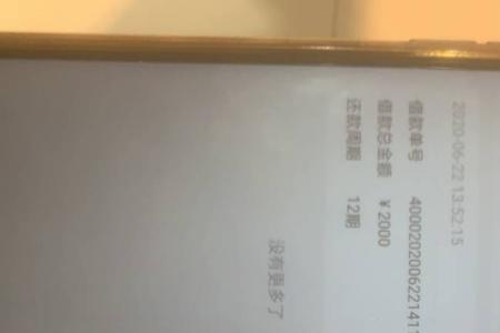 放心借审核还要等多久