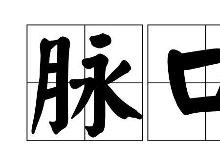 海螺脉口是什么
