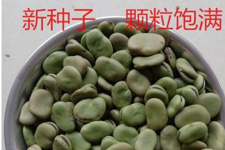 佛豆和蚕豆的区别