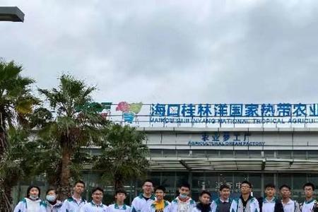 海南华侨中学高考多少能上本科