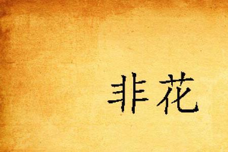歌曲非花是什么意思