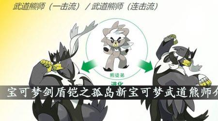 武道雄狮连击流配招