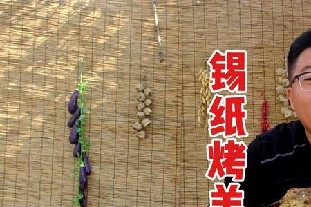 烤驼峰肉的做法