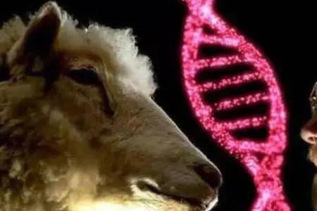 物化同类啥意思