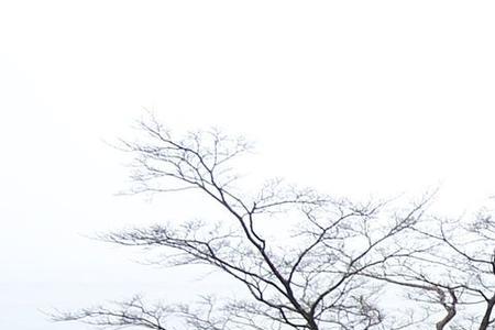 单田芳龙争虎斗丰泽园在线听