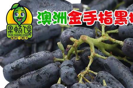 澳洲无核葡萄品种介绍及前景