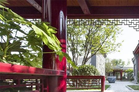 四合院孩子长大了什么意思