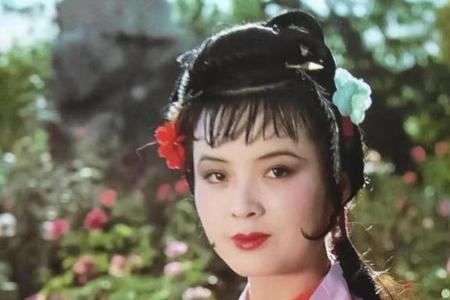 红楼梦里出现了多少个女的