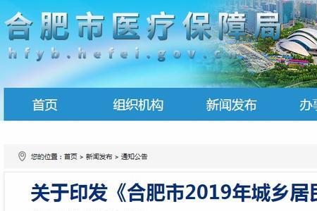 安徽人医疗保险怎么买