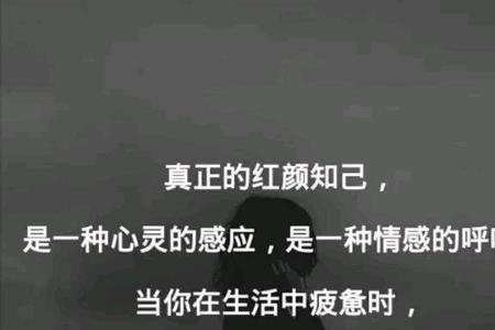 知己难遇下一句是什么