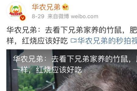 华农兄弟是专业饲养什么的