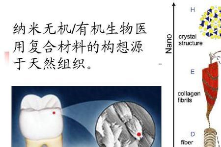 纳米生物材料就业前景