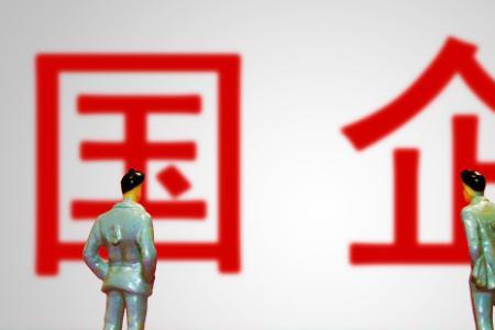 汇仁集团是国企还是私企