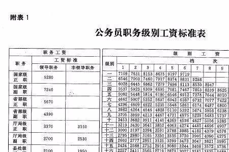组织进一步使用和晋升的区别
