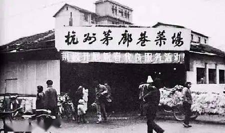 杭州人的前身