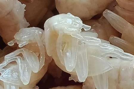 大麦虫蛹怎么处理