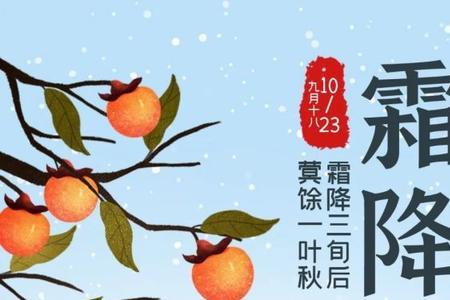 霜降故事梗概