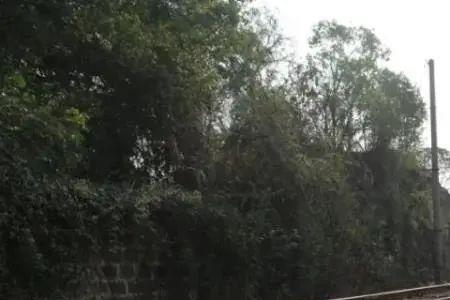 火车为什么把7说成拐