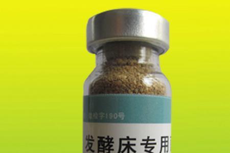 桑青饲料发酵技术
