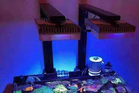 马印加热棒能用在海缸吗