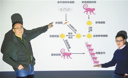 如何克隆生物