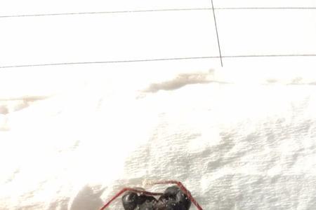 虫大念什么