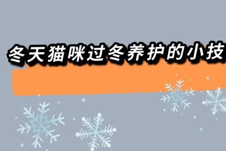 田园猫冬天会冻死吗