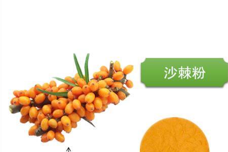 沙棘籽怎么提取