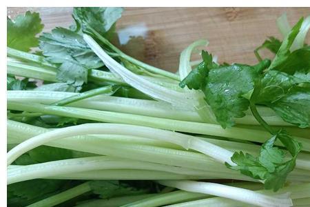 芹菜根部为什么有蓝墨水样颜色