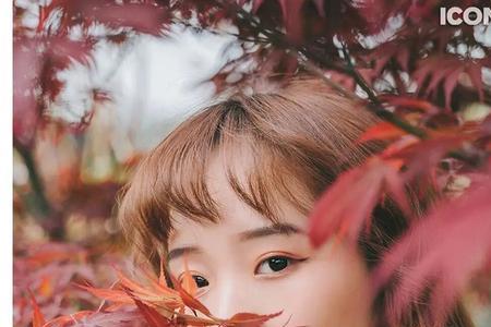 摄影投稿组图怎么弄