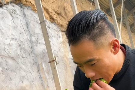 孔雀菜有什么人不能吃的吗