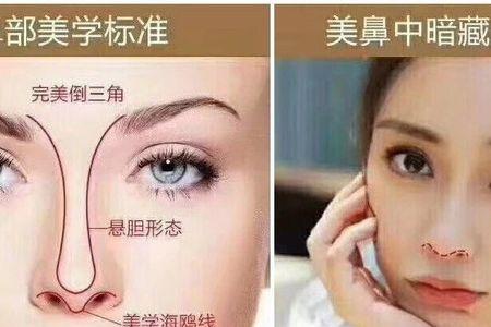 怎么判断自己的鼻尖高不高