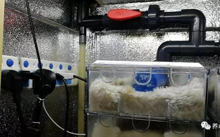 鱼缸沙子可以做滴流过滤用吗