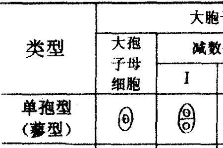 胚盘的颜色