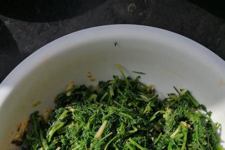 怎么用米米蒿做饺子馅